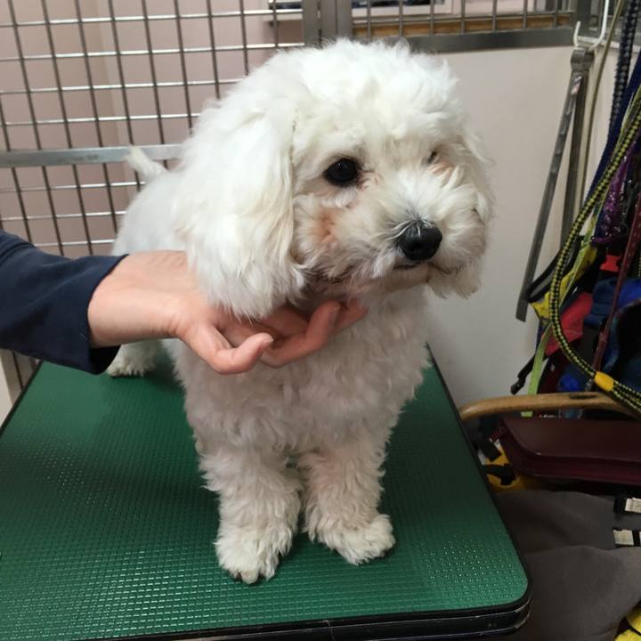 Fab2bc99 8a22 4613 8cfa 6e176960bd8d 1547872362488