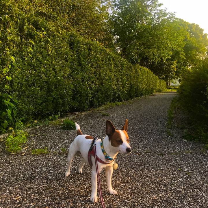 Fab319d8 f354 4f28 bcf3 81f782977d44 1525197174435