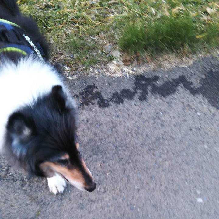 Fab32c13 66e4 476c 8462 9b39460c0d26 1613914175511