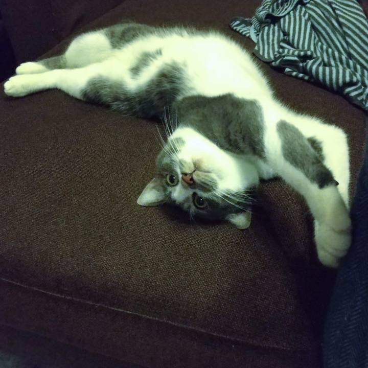 Fab34efd faa0 400a bf90 679160a23cf2 1628596984151