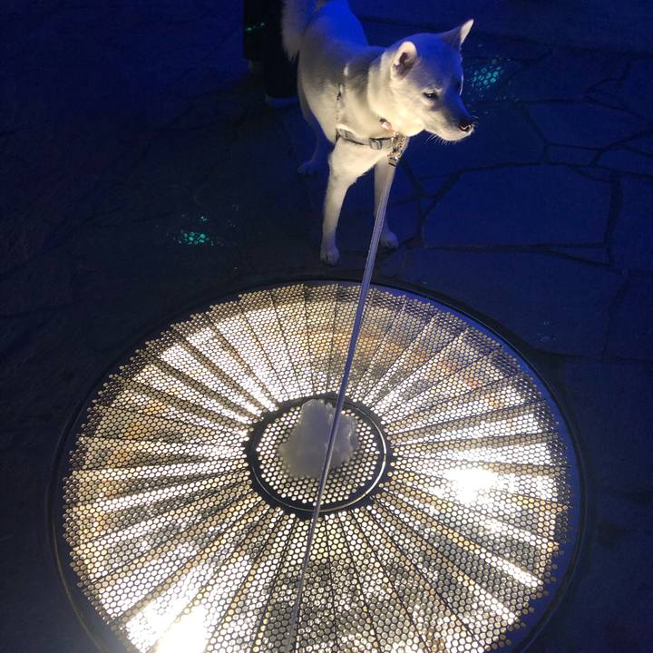 Fab36a09 14c1 4a2c 9464 7dfec00750c9 1581427731217