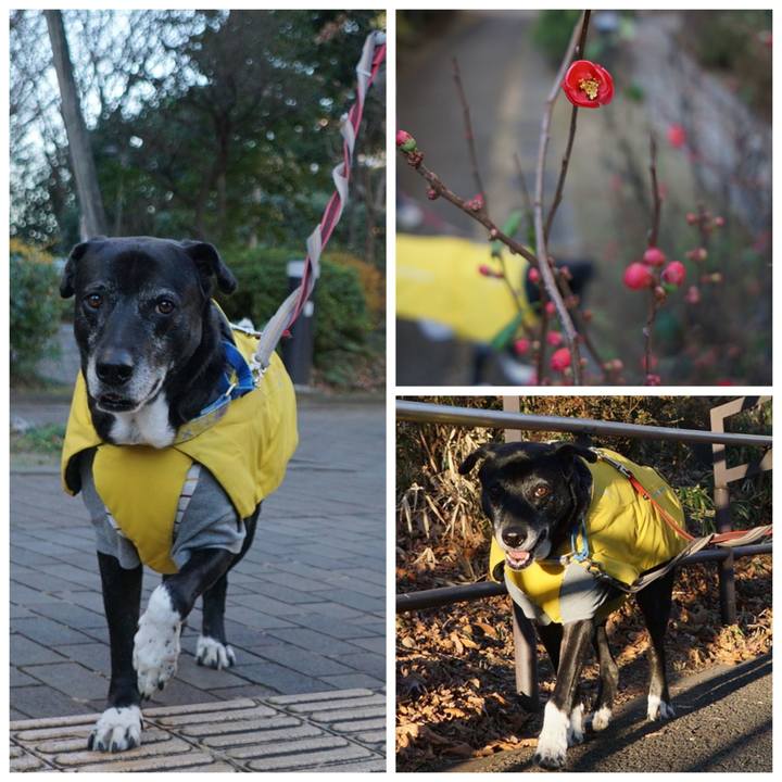 Fab3b08e 7488 48b2 8ecd 85ba153a0e3c 1768178403601