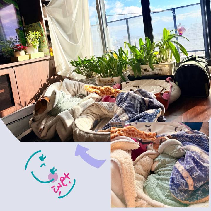 Fab3f706 b9b6 4112 a5d7 35786b6db3c4 1770077227436