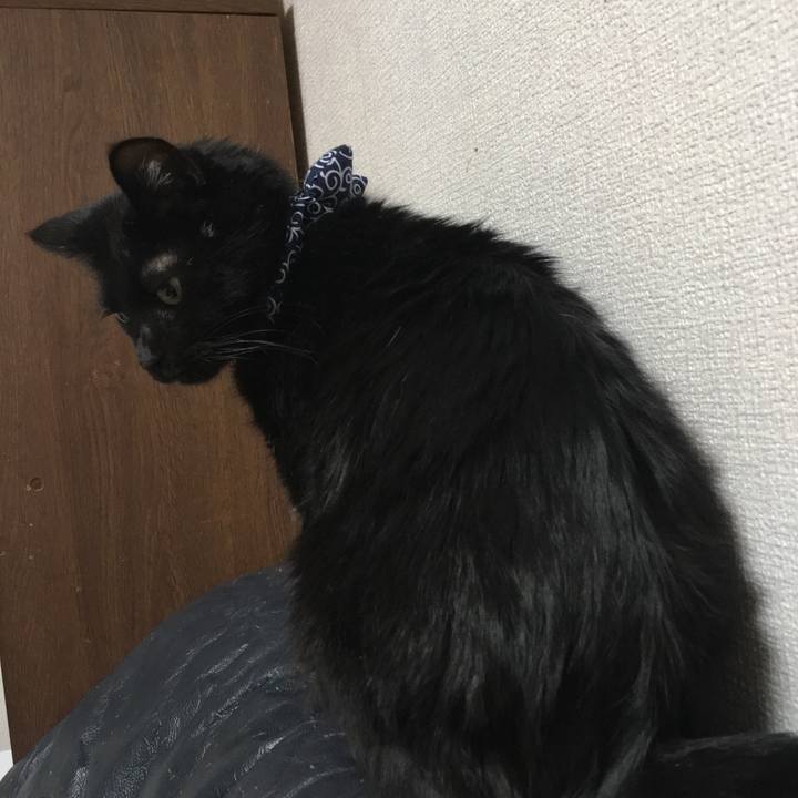 Fab425e6 e824 491f 8bee 303517e80a60 1548340600765