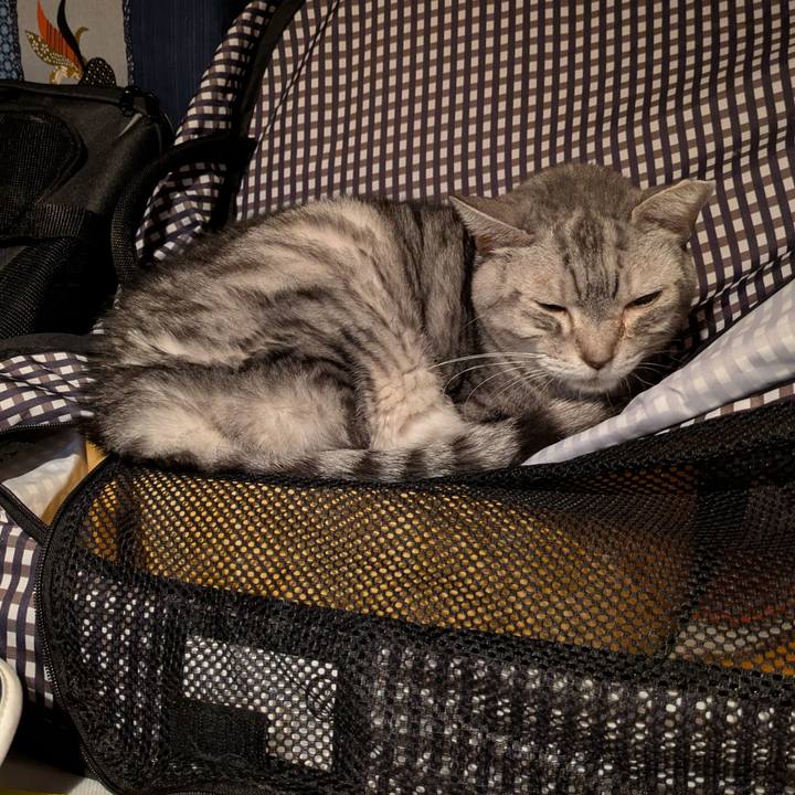 Fab42704 2dd8 4c6f 9de7 6ba81719400d 1765472766067