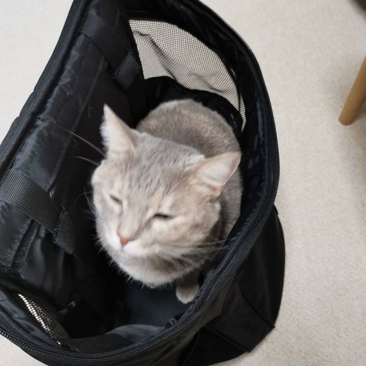 Fab43f57 99b9 4d27 89d0 e7267218ebca 1599303782096