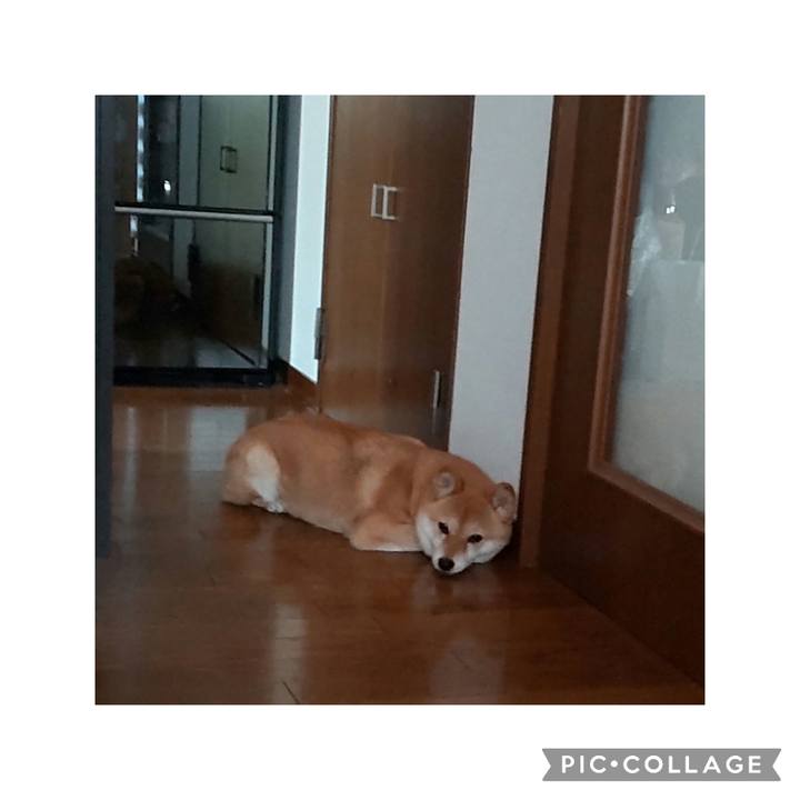 Fab49c2a 44fd 477b 933c 3a135b0b3a84 1718171097566