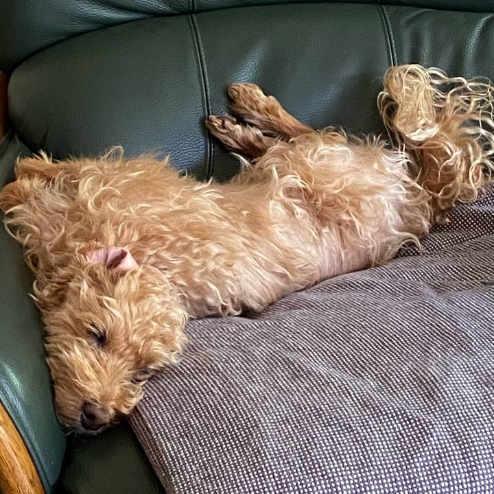 Fab49cee 1aa9 4ae0 b745 879694dd5ad1 1653099027083