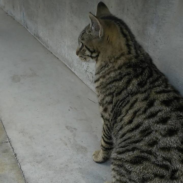 Fab4a9df a3fa 4a44 bea8 845517c59709 1557701832752