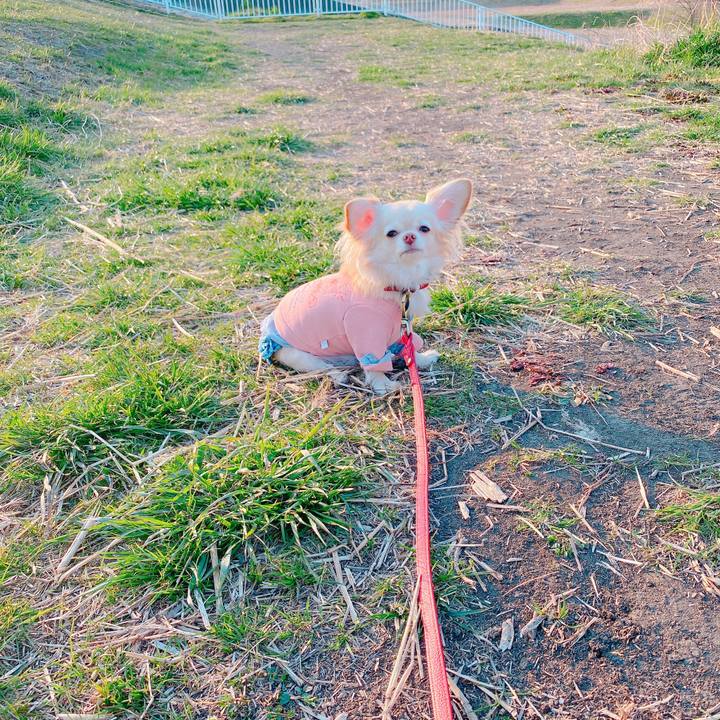 Fab4e3b6 e9ad 437b 8ada 08f96e1a2a32 1646912535639