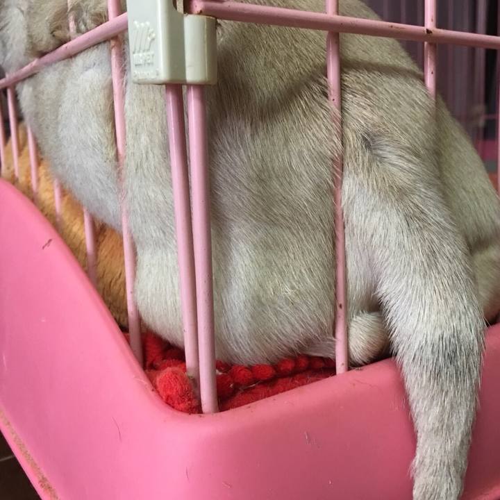 Fab4fd68 75eb 4daa 99a6 67c637bf6a6c 1534508336744