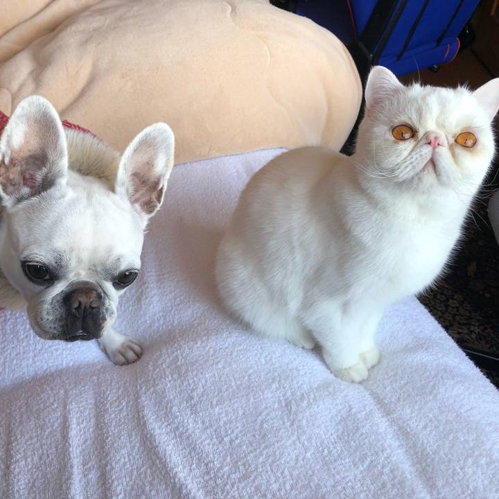 Fab50e64 3a14 4f53 b9b2 55b7a45941ac 1605531599925