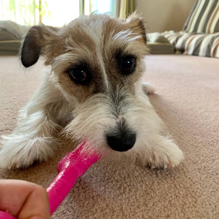 Fab54ac8 332d 45d2 8400 dcc66a58caca 1626618574482