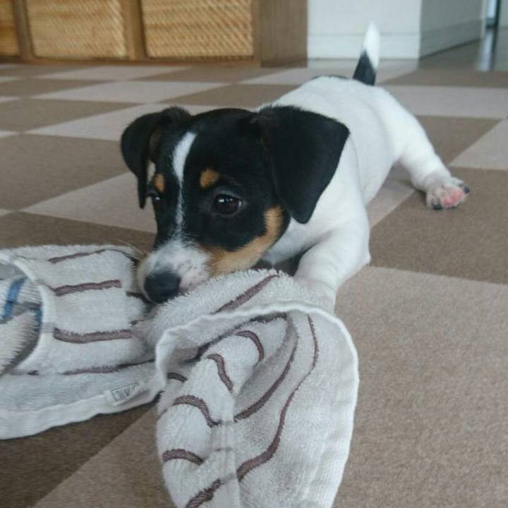 Fab5e2d8 9df8 4f02 93fc 66af4fae1072 1511067350944