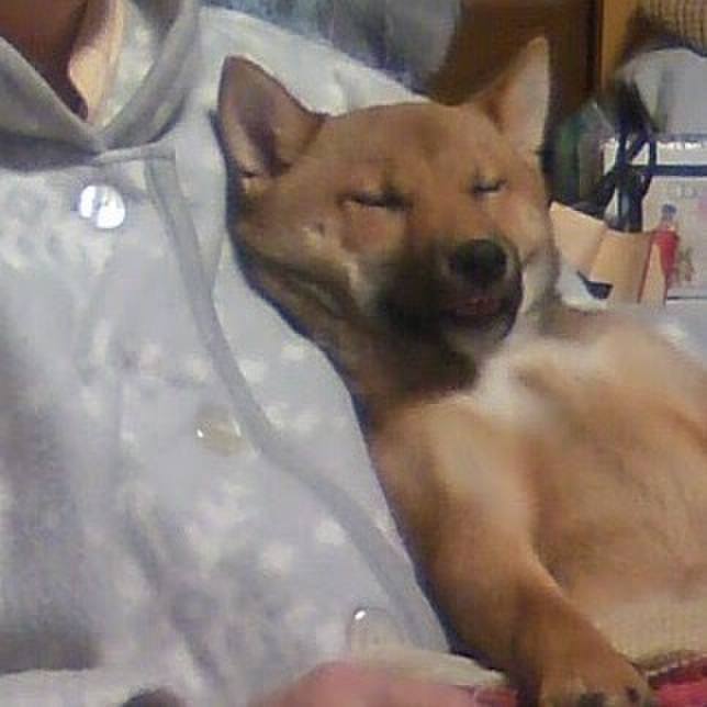 Fab5e383 6501 4e00 950f bfe0ce72f76a 1522146963392