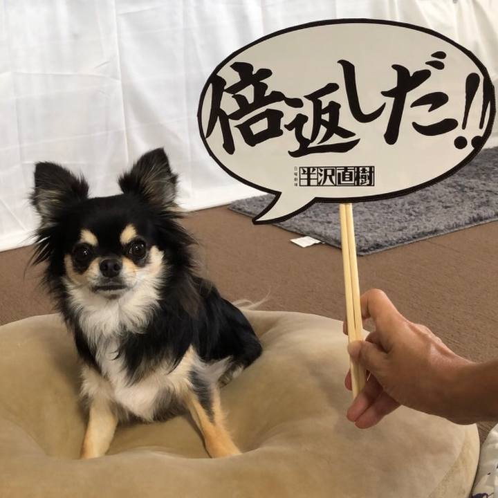 Fab64a09 f299 438b b7a8 db10f89202b3 1601167145361