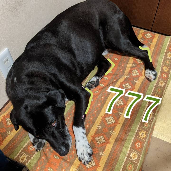 Fab69693 4bcb 4c5f 9fd0 a8fffafa722c 1686482131063