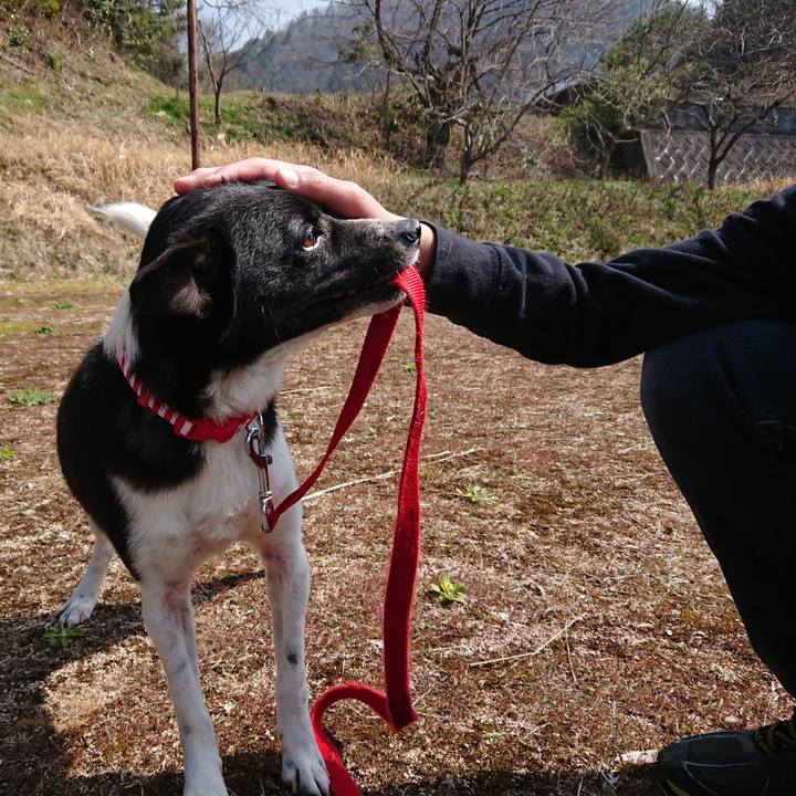 Fab6c1b6 a061 4acb 8ff9 074e5a4c58a4 1522058954589