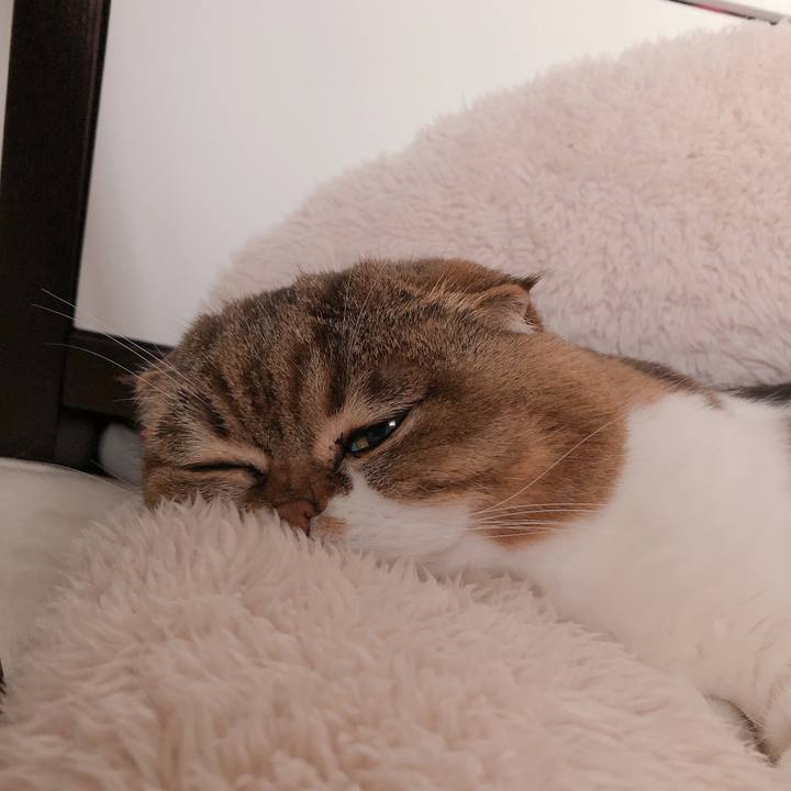 Fab7335f 9e8f 452b 87b2 bad31f03ac1d 1552292422970