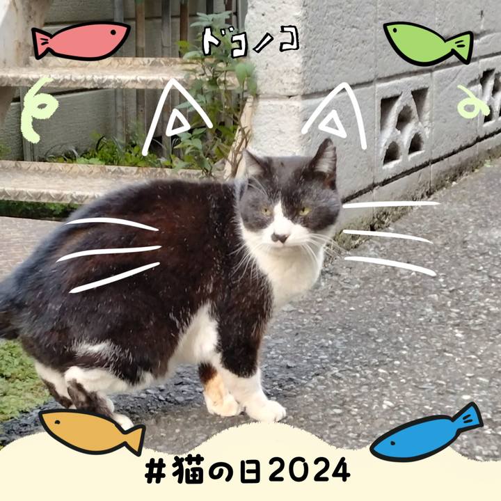 Fab74661 1ead 40e1 8ac8 a58bae1eb4bf 1708574020612