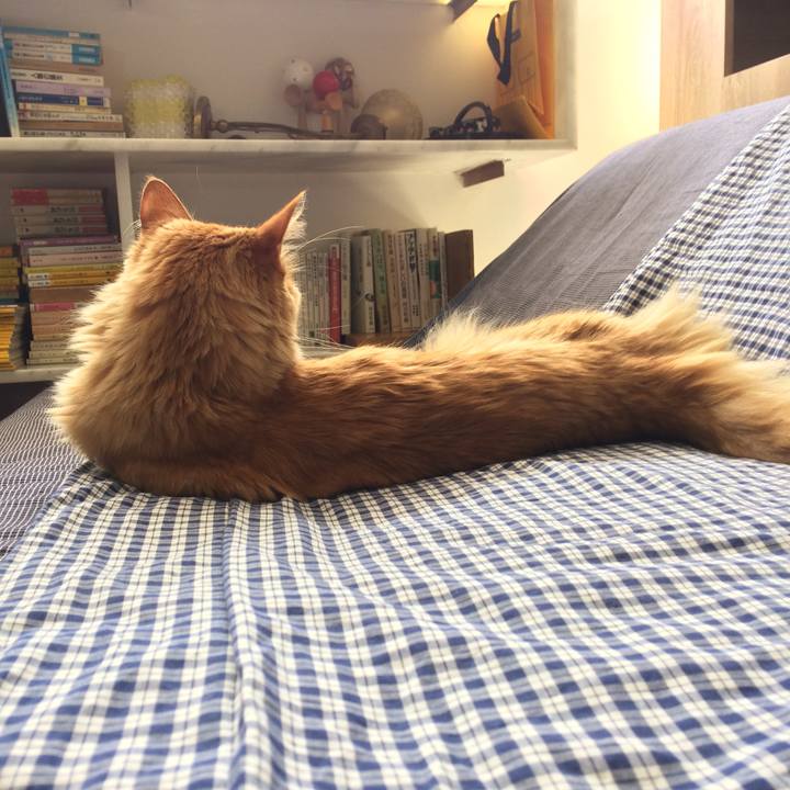 Fab773cc b9ab 4f4b 983d 57295a1b23dc 1552751400246