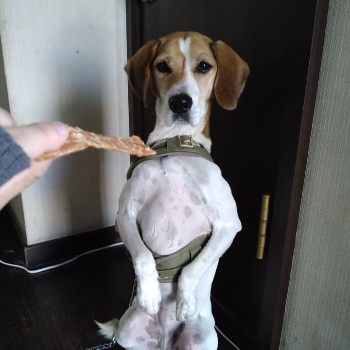 Fab7e7c7 9f98 4834 9fba 5d50d87f6240 1667056584919