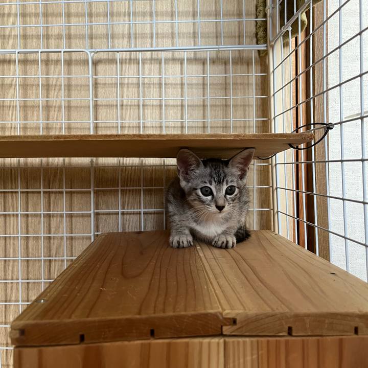 Fab7f430 10b8 4fcb 914c a1ddc981b9c7 1695525885929