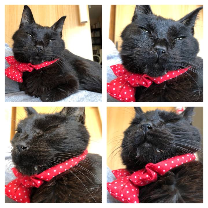 Fab810b7 a064 485b 89e4 209fdaf0029c 1556939223175