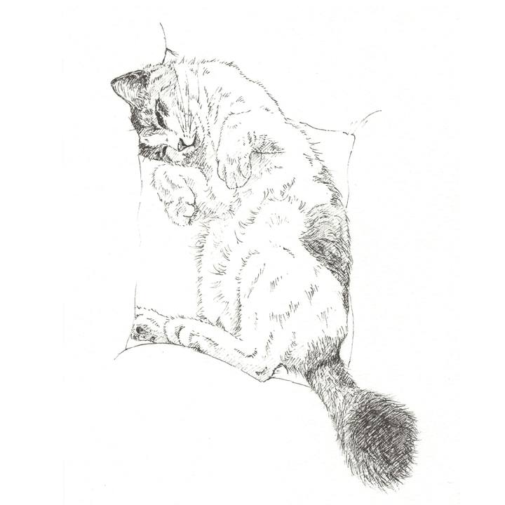 Fab826c4 d885 4544 9589 dfca2b6765de 1561644904087