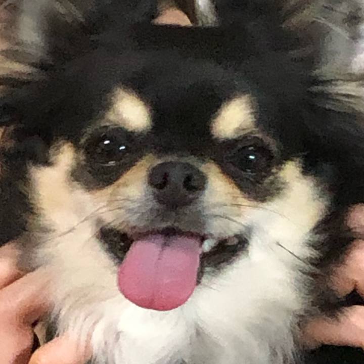 Fab83a33 d578 4b3d 94de 0605f97d2592 1591009204247