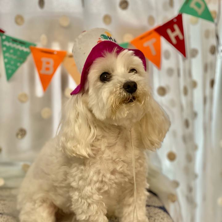 Fab94155 4198 4164 bc0e d5c911e0e708 1626607069715