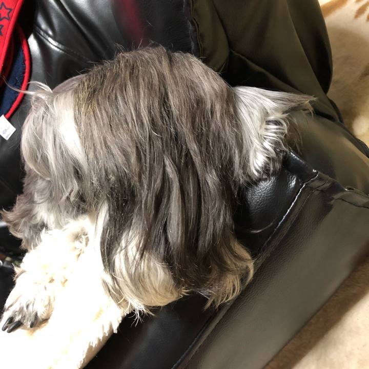 Fab94d6e 24e3 47f4 9617 36c1cc0ee481 1528293903506