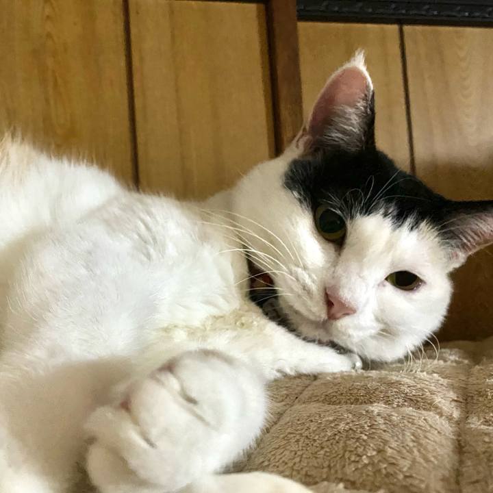 Fab98ccb d9af 4549 8f60 ac1a30545623 1667316760638