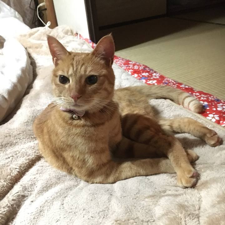 Fab9d4c1 f0f1 453d bf15 e925929cd9cc 1508681838618