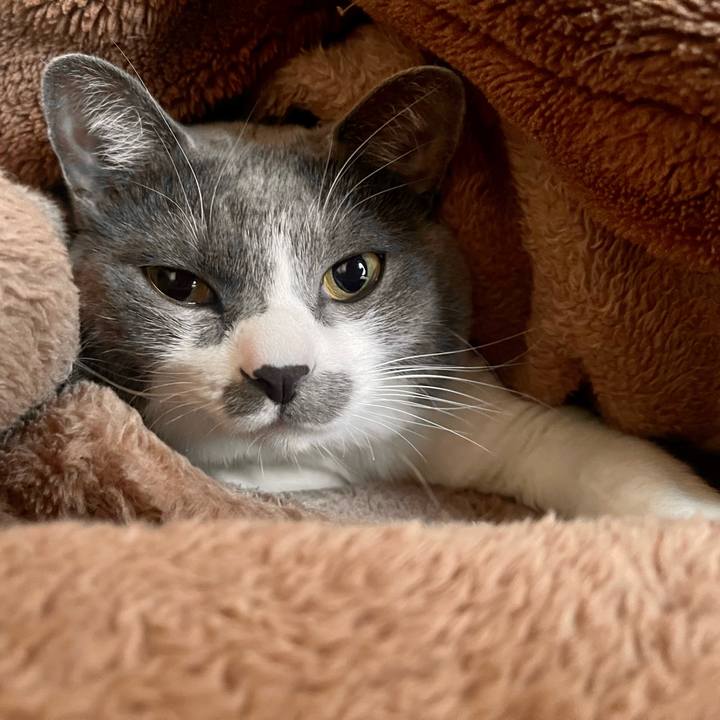 Fab9dfaa 291e 4782 947e 206dd68d0f58 1669937730133