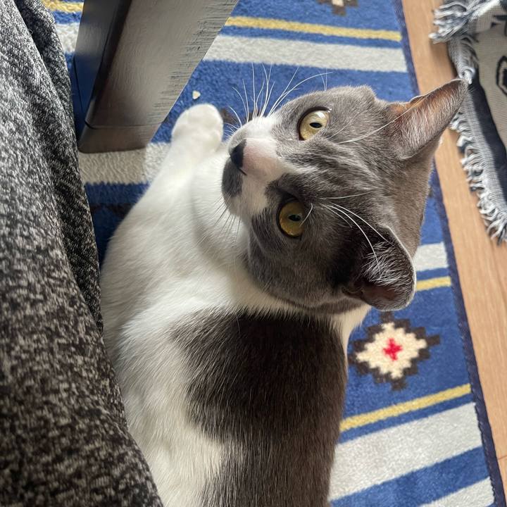 Faba2232 31b5 4720 885f 19eff28b6446 1665193518030