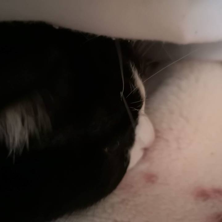 Faba22a8 ca93 48ce a9d1 5a9ef2483f03 1674880538264