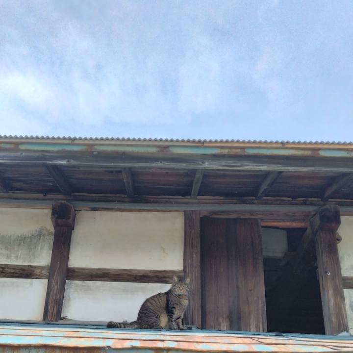 Faba51f9 d795 44c9 85a5 b39d4cda9596 1689218734937