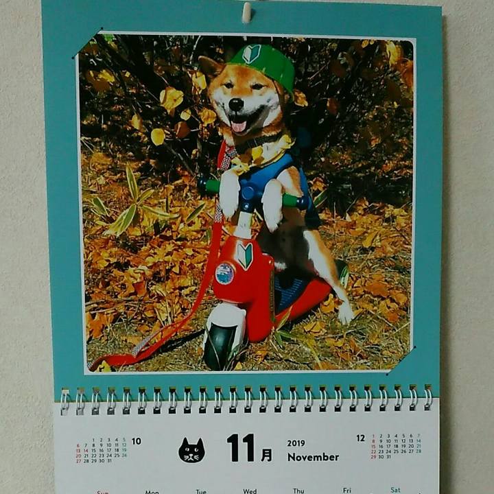 Faba78eb 6ee8 424b a22a 324fa9de6e63 1572604928593