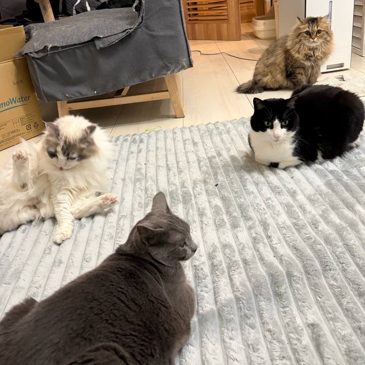 Faba8f24 3f4b 47ca 9a3a ac9848fd56ef 1770814521533