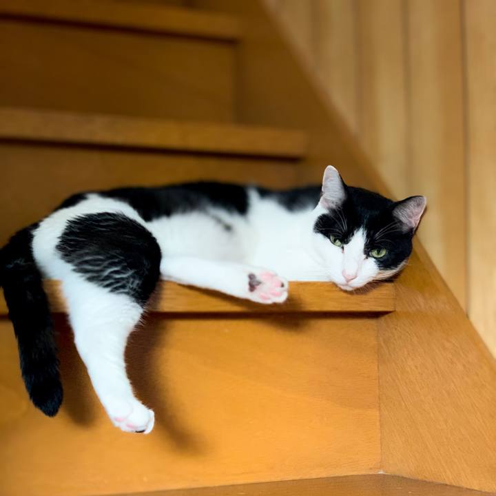 Faba9e32 d605 42c8 82e1 b6a43fabcf59 1602988166145