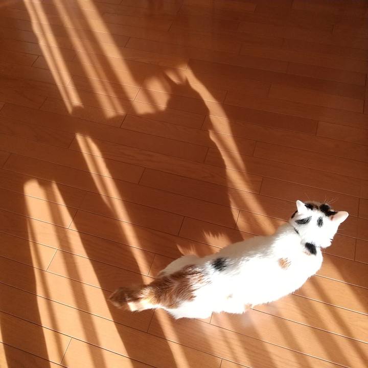 Fabbc8f1 a7a7 457c 946d d5fa2e9fa9ea 1608077965259