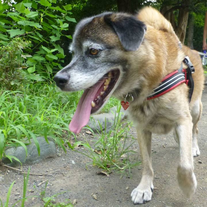 Fabbd4c8 06b4 48b2 b5ba a3db6a623c28 1613693159665