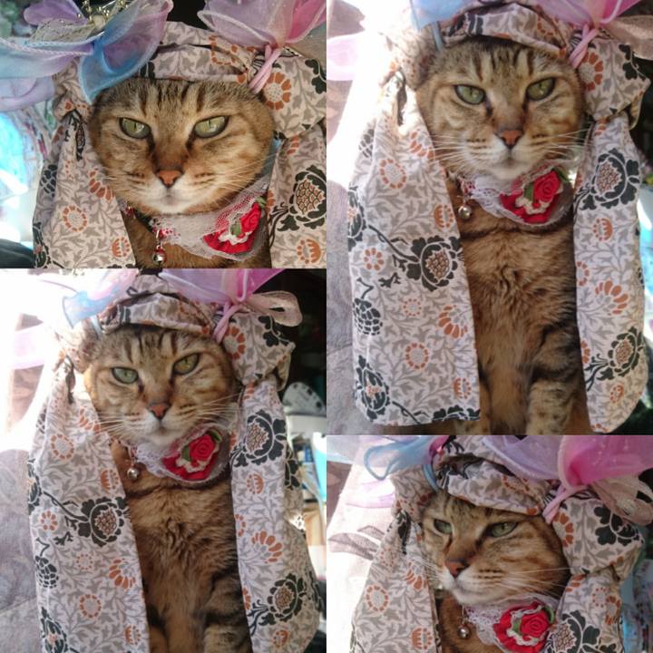 Fabc0665 f2cb 4d41 bf4d df51da3ef8ea 1771546319037