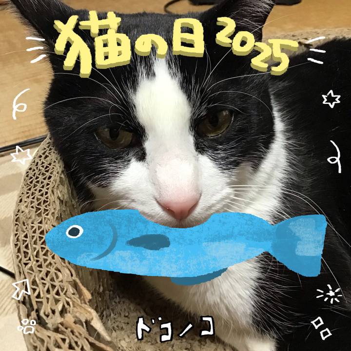 Fabc0e11 659b 494c bc9e 067176bf5592 1740131735533