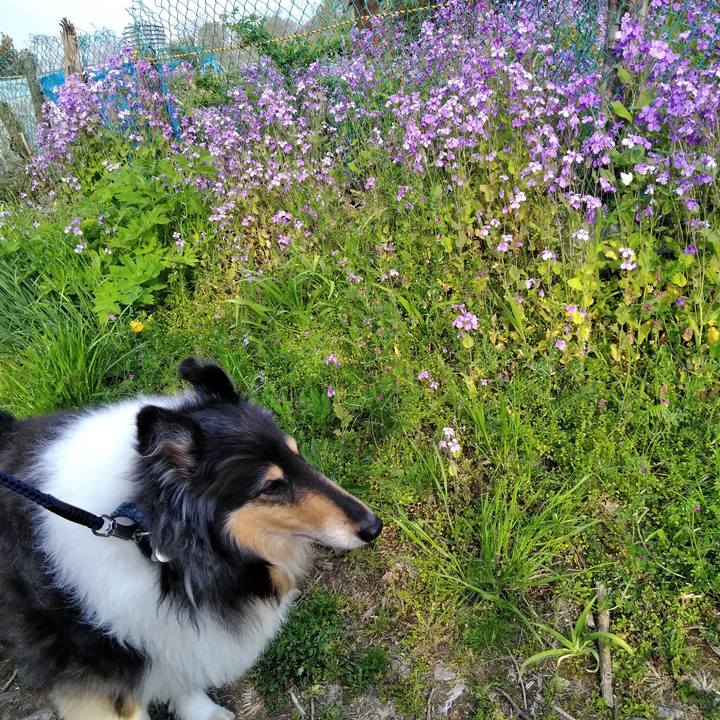 Fabc3023 32ee 41cd a55b 498eb2a100dc 1555685874213