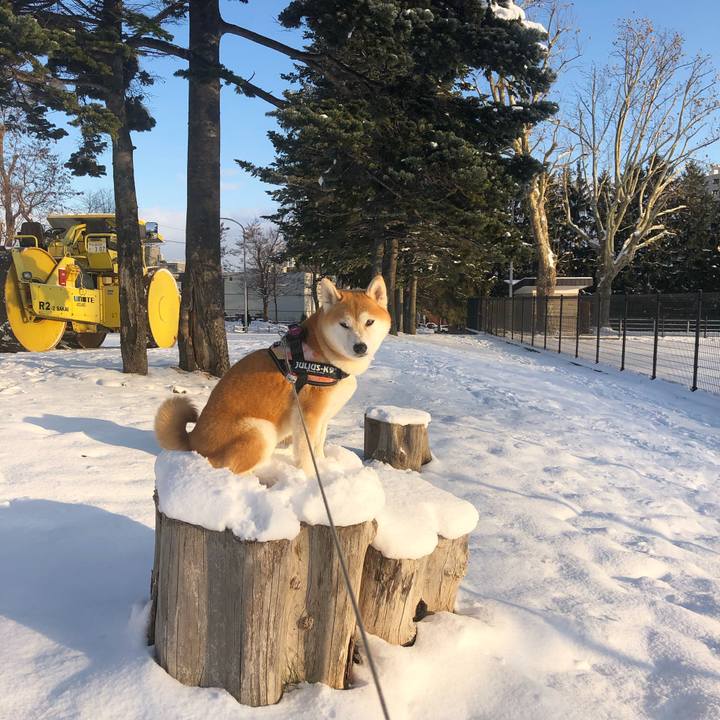 Fabc3989 7708 45c7 b84c 08cf52af5f41 1575510795483