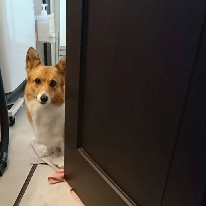 Fabc55ad 6593 48f4 a853 7e2b9f7f5613 1520072217722