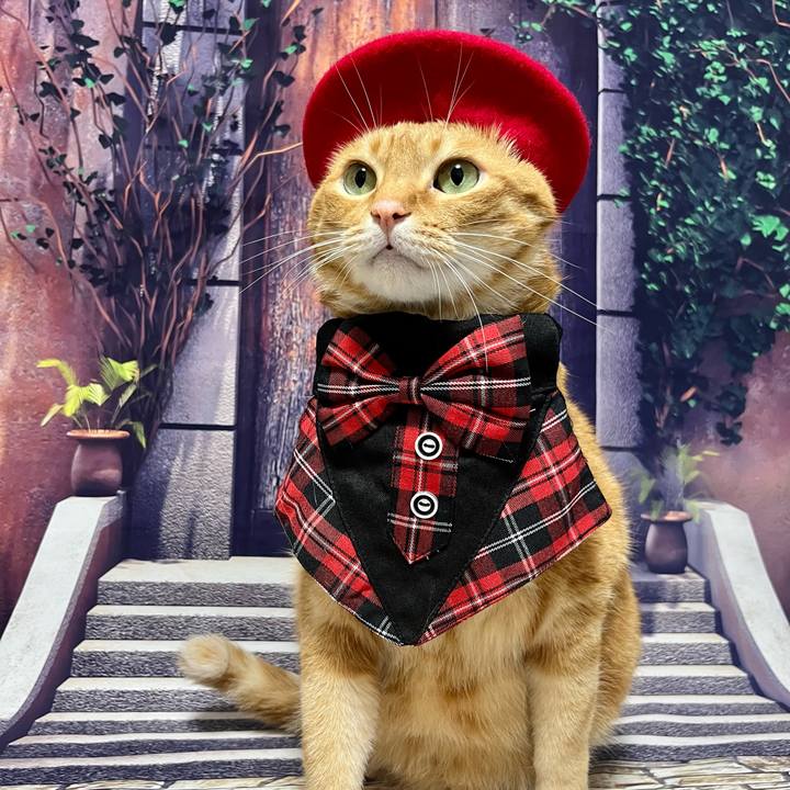 Fabc9da7 c99f 4d82 8a55 f70233a4b7d0 1693433311604