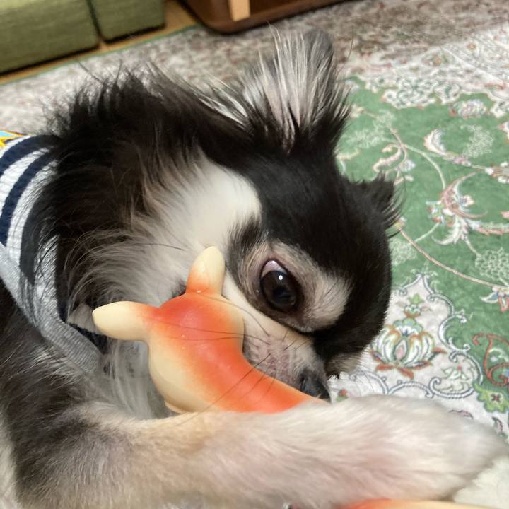 Fabcc99f fed8 4a72 bd8d f14a2edc7298 1667055498146